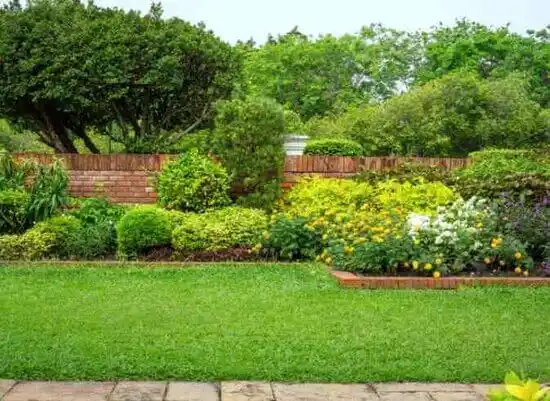 landscaping services Cynthiana